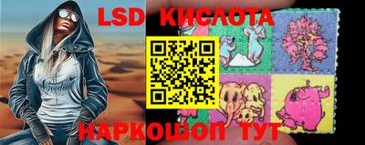прущие крисы Кузнецк