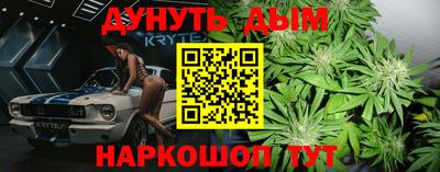 крисы Апшеронск