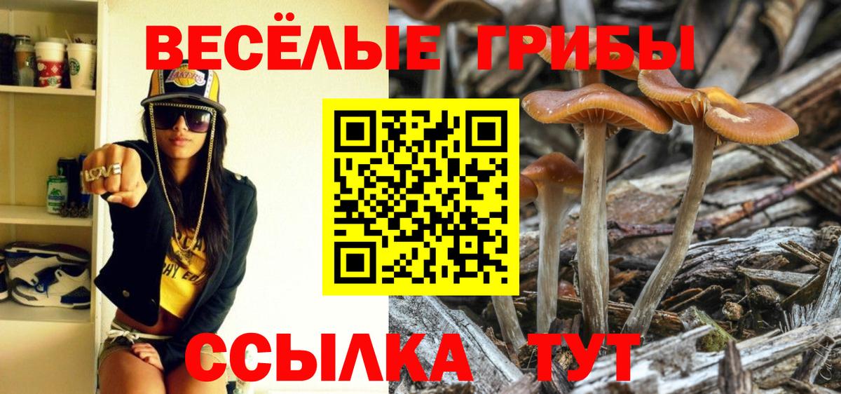 Псилоцибиновые грибы MAGIC MUSHROOMS Берёзовский