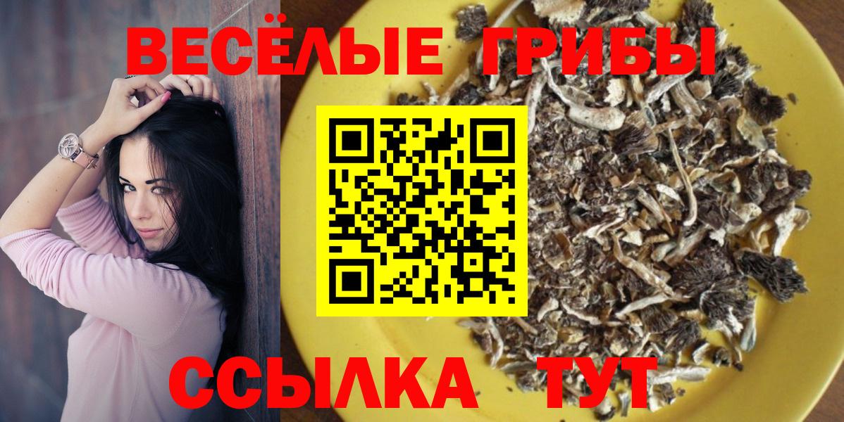 Берёзовский  Галлюциногенные грибы GOLDEN TEACHER  где купить наркоту  Вход с VPN 