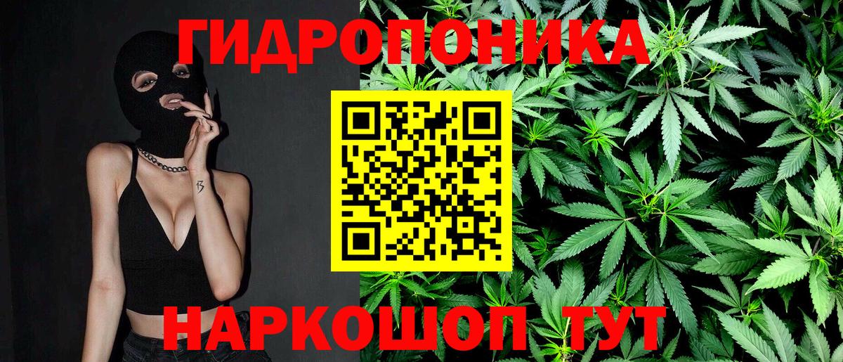 Конопля OG Kush  Бошки Шишки семена  Берёзовский 